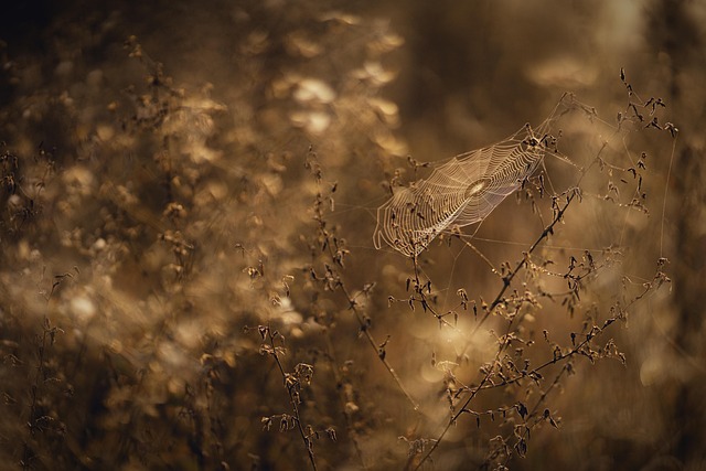 Image louisechartersdesign.co.uk 3547 1746048468349